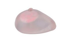Pro-Health - Model PH14-001 - Female Fibroadenoma Breast Model for Education
