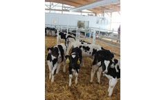 Megataj - Calf Starter Feed 0-3 Months