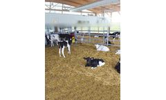Megataj - Calf Grower Feed 3-6 Months