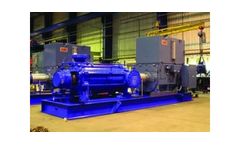 Multistage Pumps