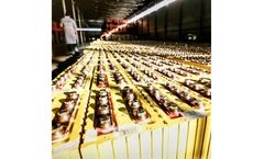 Battery Management System for Beyond Lithium-ion Industry