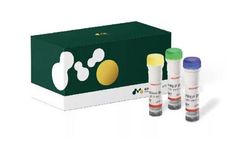 NGS Library Prep Kit
