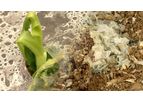 TDPA for Mulch Films