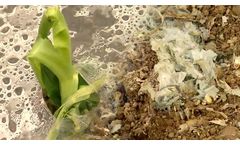 TDPA for Mulch Films