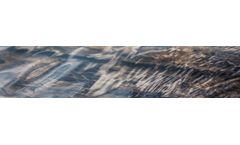 Forensic Environmental Engineering Services