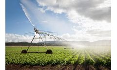 Neutron Detector Probe for Agro Soil Moisture Monitoring
