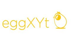 eggXYt - ULTRASOUND for Eggs
