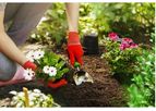 Strong - Model L - Systemic Plant Defense Inducer Fertilizer