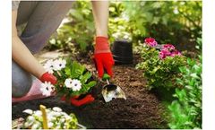 Strong - Model L - Systemic Plant Defense Inducer Fertilizer