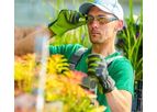 Maizer - Fertilizers Commercial Services