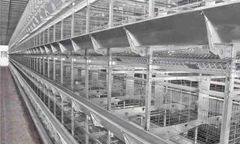 Enriched and Enrichable Layer Cage Systems