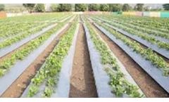 CTM - Agricool Mulching Film