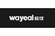 Anhui Wanyi Science and Technology Co., Ltd.