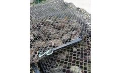 Serena - Model EPDM - Rubber Band