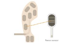Alpha - Model MF18-N-0A8-A01 - Insole Pressure Sensor