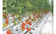 Sriam - Model SRCP-GB - Grow Bags