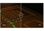Meta holoOPTIX - Holographic Optical Components