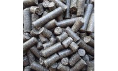 ILNET TRANSIT - Sunflower Husk Pellets