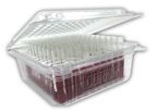 Rich - Single-Use Tube Container