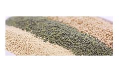 PIONEER - Adsorbent/Catalyst