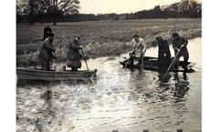 Fisheries Surveys Services