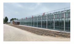 Traditional Venlo Greenhouses
