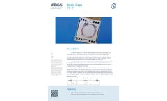 FBGS - Model SG-01 - Strain Gage Sensor Datasheet