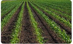 CoreBiologic - Model CropPro Seed Treatment - Micronutrient Chelation Technology