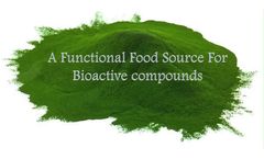 Everflow - Chlorella