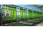 Everflow - Model PBRs - Photobioreactor System