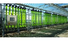 Everflow - Model PBRs - Photobioreactor System