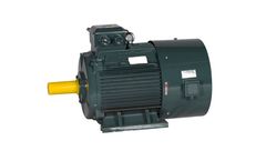 Leciel - Model LCPM Series - Frequency Regulating Speed Permanent-Magnet Synchronous Motor