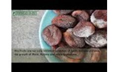 Why to use Oxygen Absorber In Dry Fruit Packaging?
