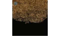 Hailan - Model 001X10 - Strong Acid Cation Exchange Resin Cross-Linked 10%