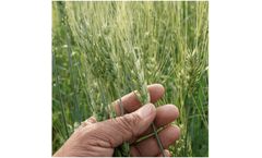 Seqana - Natural Climate Solutions (NCSs) Technology