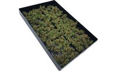 Canna-Tray