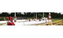 Natural Gas Consulting Services