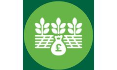 Crop4Sight - Contract and Crop Value Analysis Across The Season