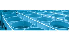 GDP - Aquaculture Service