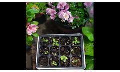 Reusable seed starting trays - Video