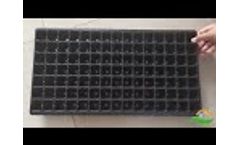 growing seedlings trays - Video