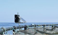 Model OxyForcis - System To Monitor Dissolved Oxygen and Water Temperature