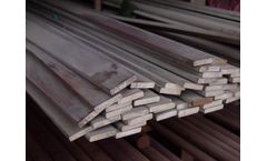 Apocalypse - Model PDBAB_262133758 - Mild Steel (MS) Flat