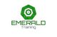 Emerald Training Services