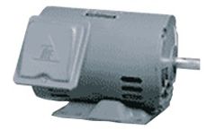 TECO - Model ASGF - ODP Rolled Steel Motor IEC