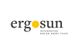 Ergosun Integrated Solar Roof Tiles
