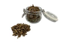 Circa Biotech - Frozen Whole Black Soldier Fly Larvae