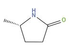 Chirial - Model 1558-60-7 - 5-Methylpyrrolidin