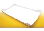 MFG Tray - Insect Rearing Trays