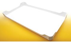 MFG Tray - Insect Rearing Trays